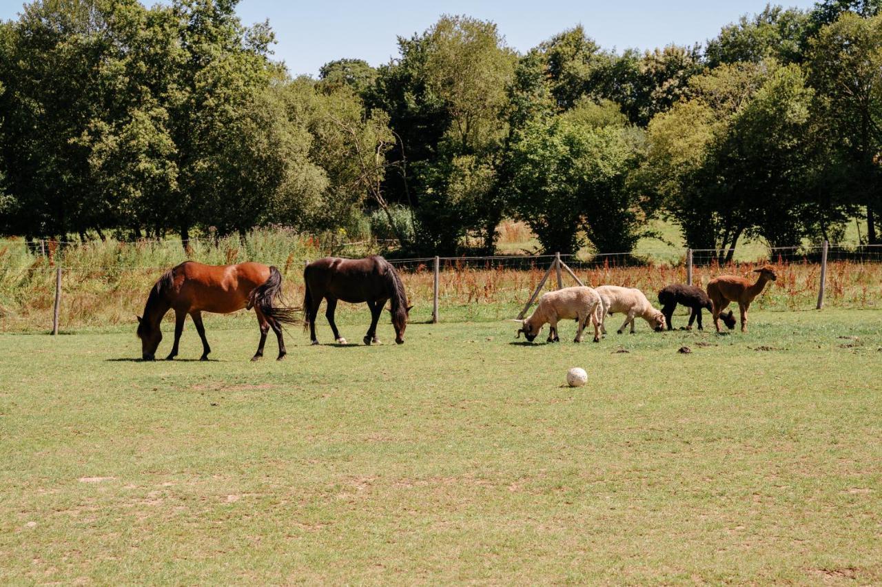 Maeva Respire De Broceliande Parque de Campismo