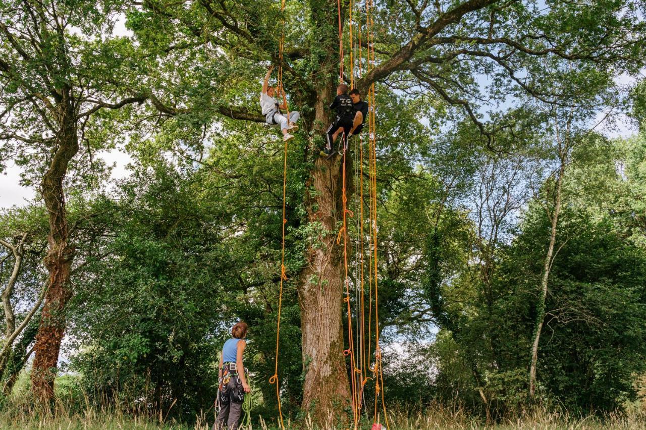 Maeva Respire De Broceliande Parque de Campismo 4*